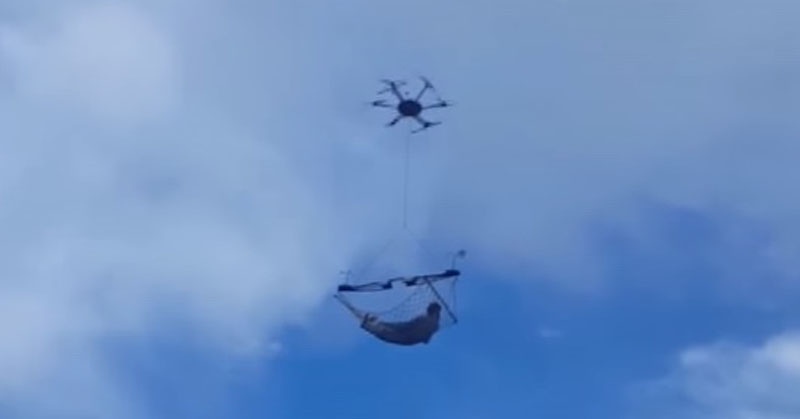 drone hammock FI