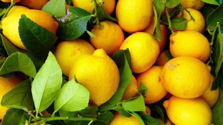 lemons stop migraines